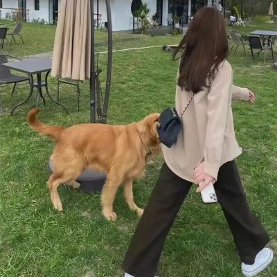 丑女也疯狂