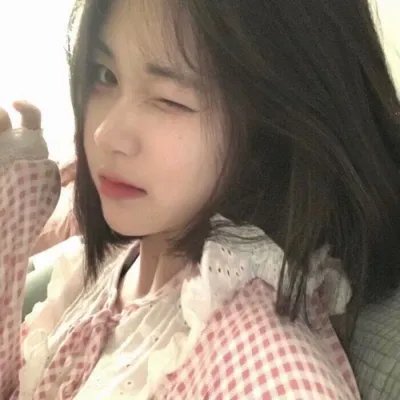 观鸟者